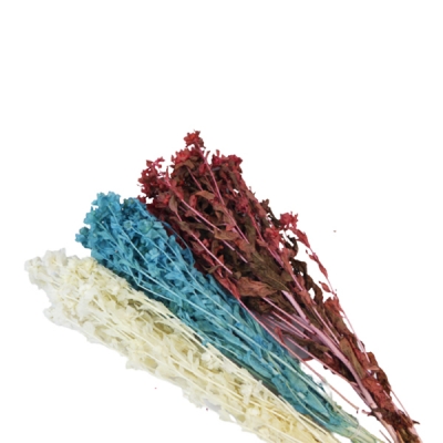 Carthamus 100 Gr Colorato Fiori Secchi Naturale Composizione Floreale