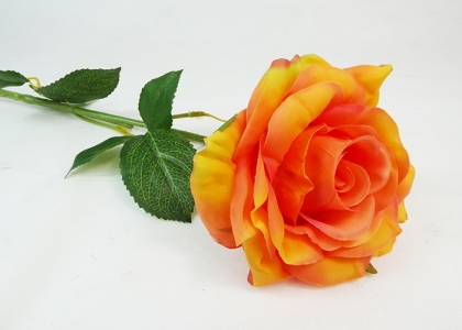Arancio