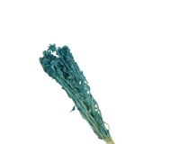 Carthamus 100 Gr Colorato Fiori Secchi Naturale Composizione Floreale